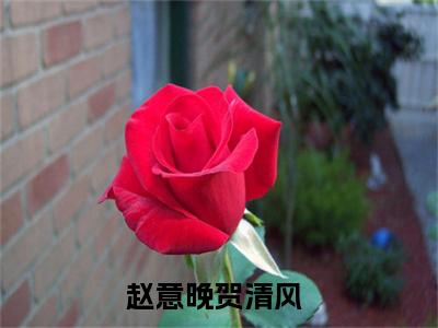 赵意晚贺清风（赵意晚贺清风）书荒推荐-精彩美文赵意晚贺清风在线赏析