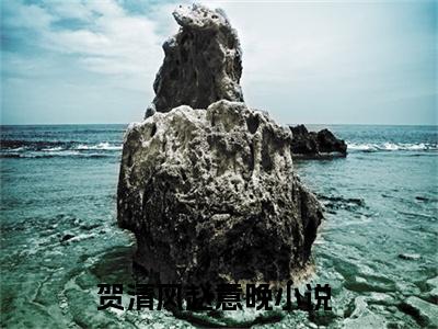 贺清风赵意晚经典小说无广告小说免费阅读 贺清风赵意晚全章节免费阅读