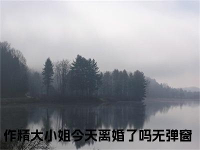 作精大小姐今天离婚了吗（顾铭泽黎棠）全文免费阅读无弹窗大结局_（作精大小姐今天离婚了吗阅读无弹窗）顾铭泽黎棠最新章节列表_笔趣阁（作精大小姐今天离婚了吗）