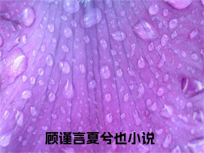 高赞小说（顾谨言夏兮也）完结阅读_顾谨言夏兮也免费看全文