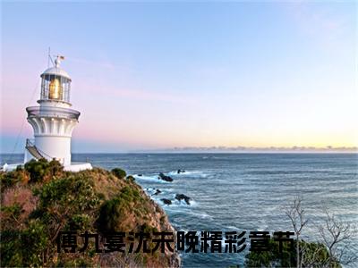 傅九宴沈未晚对你，我就不该抱有期待全文免费阅读_（傅九宴沈未晚免费阅读无弹窗）对你，我就不该抱有期待最新章节列表笔趣阁