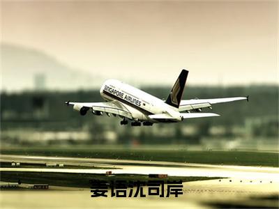 姜语沈司岸小说最新章节免费阅读-姜语沈司岸小说全文无删减版