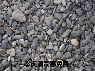 岑闵薄司寒（岑闵薄司寒）全文免费阅读无弹窗_岑闵薄司寒最新小说_笔趣阁（岑闵薄司寒）