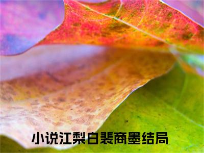 江梨白裴商墨小说免费下载阅读_(江梨白裴商墨)江梨白裴商墨最新章节列表_笔趣阁（江梨白裴商墨）
