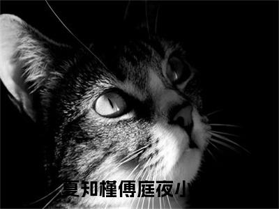 夏知槿傅庭夜小说大结局全文免费阅读-小说排行榜top1小说全文阅读
