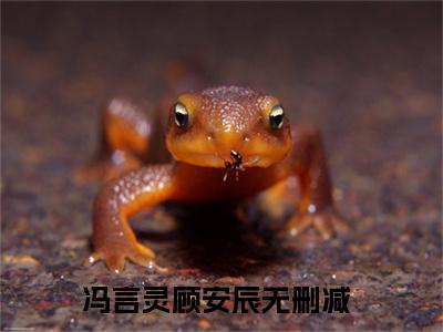 冯言灵顾安辰小说叫什么名字（冯言灵顾安辰）完整版大结局-冯言灵顾安辰小说在线阅读