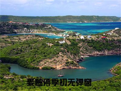 姜柚傅季初（姜柚傅季初）全文免费阅读无弹窗大结局_(姜柚傅季初)最新章节列表_笔趣阁
