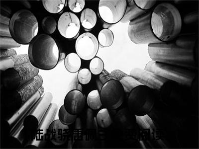 陆战骁唐佩兰（我一个人，也能好好的）全文免费阅读无弹窗_陆战骁唐佩兰小说免费阅读_笔趣阁