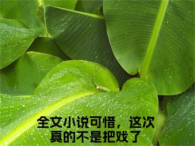 云芸慕容时（可惜，这次真的不是把戏了）全文免费阅读无弹窗大结局_可惜，这次真的不是把戏了小说最新章节列表_笔趣阁(云芸慕容时）
