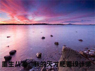 宋涵顾宸之重生八零：我的天才肥妻设计师抖音热推新书小说全文阅读 （重生八零：我的天才肥妻设计师）全文免费阅读大结局