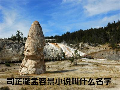 司芷凝孟容景（爱与恨同歌）小说全文在线阅读_司芷凝孟容景最新章节在线阅读_笔趣阁