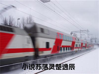 小说《苏落灵楚逸辰》全文免费阅读无弹窗-重生后坚决不做恋爱脑小说全文在线赏析_笔趣阁