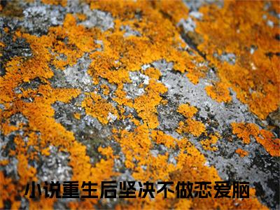 重生后坚决不做恋爱脑（苏落灵楚逸辰）精选好书-苏落灵楚逸辰无删减小说在线阅读（重生后坚决不做恋爱脑全文免费阅读）