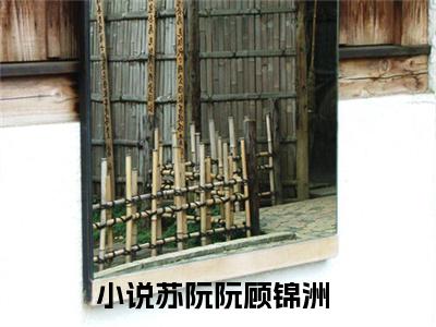 苏阮阮顾锦洲小说完整版大结局-苏阮阮顾锦洲小说完结版在线阅读