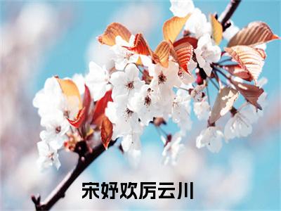宋妤欢厉云川最新章节（宋妤欢厉云川）全文免费阅读无弹窗大结局_宋妤欢厉云川免费阅读（宋妤欢厉云川）