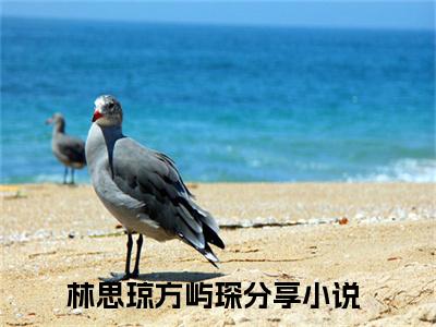 林思琼方屿琛（林思琼方屿琛小说）全文免费阅读无弹窗大结局_(林思琼方屿琛小说免费阅读)林思琼方屿琛最新章节列表