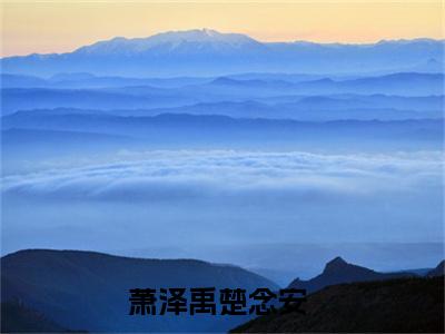 萧泽禹楚念安最新章节（萧泽禹楚念安免费在线阅读）全文免费阅读无弹窗大结局_萧泽禹楚念安免费在线阅读免费阅读（萧泽禹楚念安）
