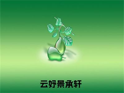 （云妤景承轩）全文免费阅读无弹窗大结局_（云妤景承轩阅读无弹窗）云妤景承轩最新章节列表_笔趣阁（云妤景承轩）