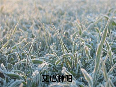 艾心林阳小说（艾心林阳）全文免费阅读无弹窗大结局_艾心林阳最新章节列表_笔趣阁