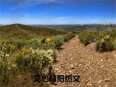 艾心林阳全文小说（艾心林阳）全文免费阅读无弹窗大结局_艾心林阳最新章节列表_笔趣阁（艾心林阳）