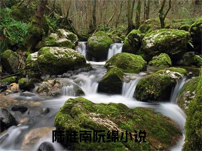 陆淮南阮绵（陆淮南阮绵）全文免费阅读无弹窗大结局_（陆淮南阮绵）陆淮南阮绵全文免费完结版阅读（陆淮南阮绵）