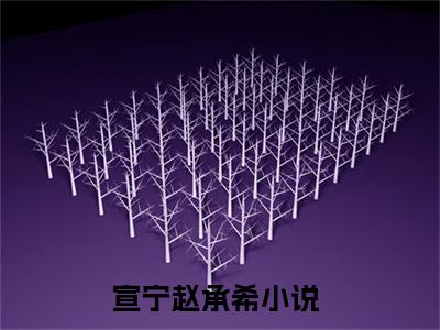 宣宁赵承希（宣宁赵承希）全文免费阅读无弹窗_宣宁赵承希全文免费阅读最新章节大结局_笔趣阁