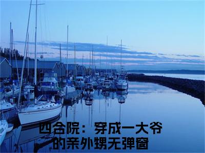 四合院：穿成一大爷的亲外甥（李安业）全文免费阅读-（四合院：穿成一大爷的亲外甥）李安业最新章节小说阅读-笔趣阁
