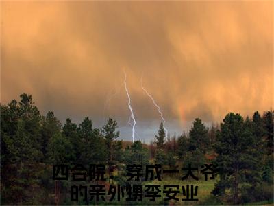 四合院：穿成一大爷的亲外甥阅读无弹窗大结局_（李安业阅读无弹窗）最新章节列表_笔趣阁（李安业）