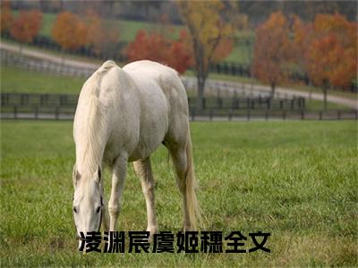 主角为凌渊宸虞姬穗的小说（凌渊宸虞姬穗）无弹窗大结局-凌渊宸虞姬穗最新小说全文阅读最新章节列表_笔趣阁