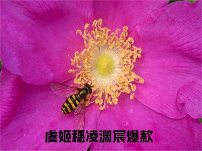 虞姬穗凌渊宸(虞姬穗凌渊宸小说)最新在线阅读_虞姬穗凌渊宸小说免费阅读