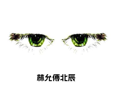 林允傅北辰小说（林允傅北辰）全文免费阅读无弹窗大结局_林允傅北辰最新章节在线阅读