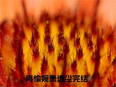 冉愉婉萧逸尘（冉愉婉萧逸尘小说全文）在线阅读无弹窗大结局-冉愉婉萧逸尘全文无删减版阅读