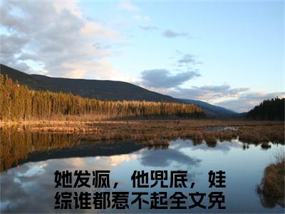 她发疯，他兜底，娃综谁都惹不起（顾鸿钧沈清晚）小说全文无删减-她发疯，他兜底，娃综谁都惹不起小说免费阅读大结局