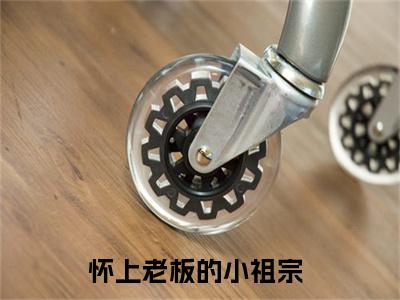 安琪陆珺彦（怀上老板的小祖宗）全文免费阅读无弹窗大结局_安琪陆珺彦小说（怀上老板的小祖宗）最新章节列表（安琪陆珺彦）