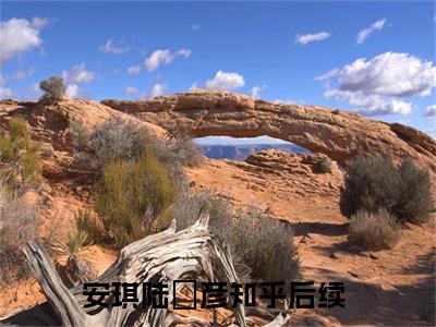 小说《安琪陆珺彦》全文免费阅读无弹窗-怀上老板的小祖宗小说全文在线赏析_笔趣阁
