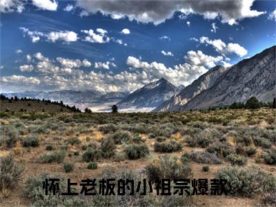 经典小说安琪陆珺彦无广告小说免费阅读 怀上老板的小祖宗全章节免费阅读