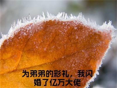 池黛江知野免费阅读 为弟弟的彩礼，我闪婚了亿万大佬最新章节目录