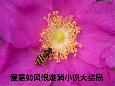 爱意如风恨难消（舒安冉季云枫小说）全文免费阅读无弹窗大结局_舒安冉季云枫小说最新章节列表_笔趣阁（爱意如风恨难消）