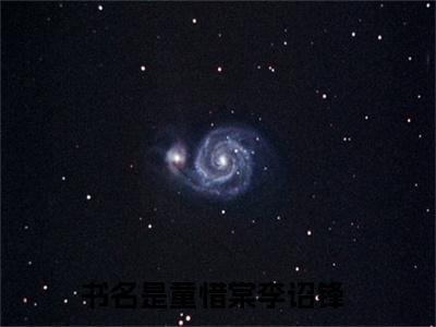 童惜棠李诏锋精彩章节免费阅读-童惜棠李诏锋小说完整版