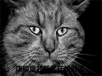 沈楠烟裴斯年（沈楠烟裴斯年免费小说）全文免费阅读无弹窗大结局_沈楠烟裴斯年最新章节列表_笔趣阁（沈楠烟裴斯年小说）