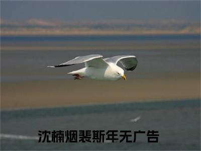 沈楠烟裴斯年小说（沈楠烟裴斯年）无弹窗大结局- 沈楠烟裴斯年全文阅读