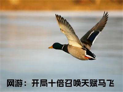 网游：开局十倍召唤天赋马飞人气小说全本免费阅读
