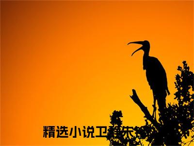 主角为卫静朱铭的言情小说讲的是什么-正版小说全文阅读