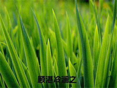 小说大胆驸马宠妾灭妻？骨灰扬了！无弹窗免费阅读-新上热文小说（顾湛冷澜之）讲的是什么
