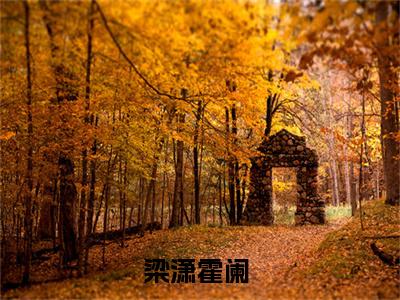 梁潇霍阑小说（梁潇霍阑）全文免费阅读无弹窗大结局_梁潇霍阑小说最新章节列表_笔趣阁（梁潇霍阑）
