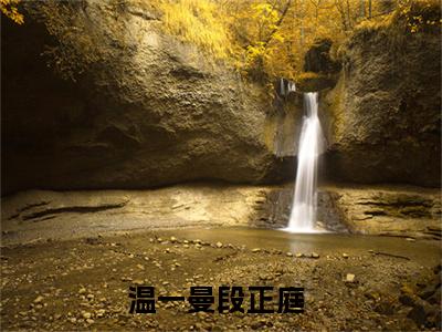 温一曼段正庭小说免费阅读-（温一曼段正庭）言情小说温一曼段正庭讲的是什么