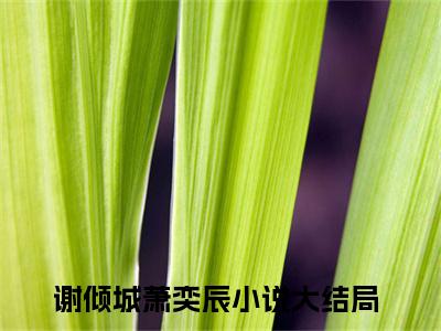 谢倾城萧奕辰晚间小说全本资源-谢倾城萧奕辰小说阅读在线谢倾城萧奕辰