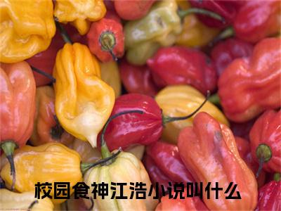 私藏读物《校园食神江浩》小说全文免费阅读-微小说（校园食神江浩）完整版阅读