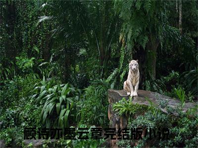 顾诗亦墨云章（顾诗亦墨云章）是什么小说-顾诗亦墨云章小说全文阅读