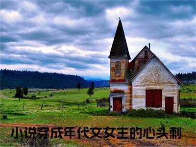 赵雪滢康明煦（穿成年代文女主的心头刺）全文免费阅读无弹窗大结局_赵雪滢康明煦最新章节列表_笔趣阁（穿成年代文女主的心头刺）